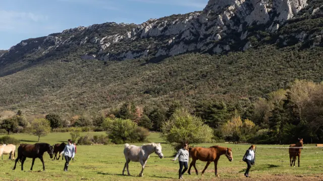 Equitación Castel Fizel